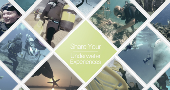 555x295-sd-productions-archives