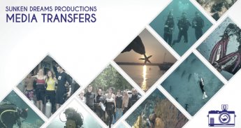 555x295-sd-productions-media-transfers